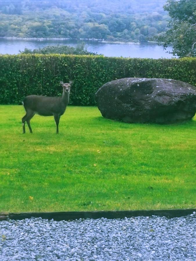 Bay View Haven Kenmare Exterior foto
